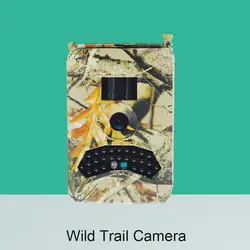 12MP разрешение 1080 P видеомагнитофон настенный водонепроницаемый wild life камеры наблюдения инфракрасного снимок функция 120 градусов