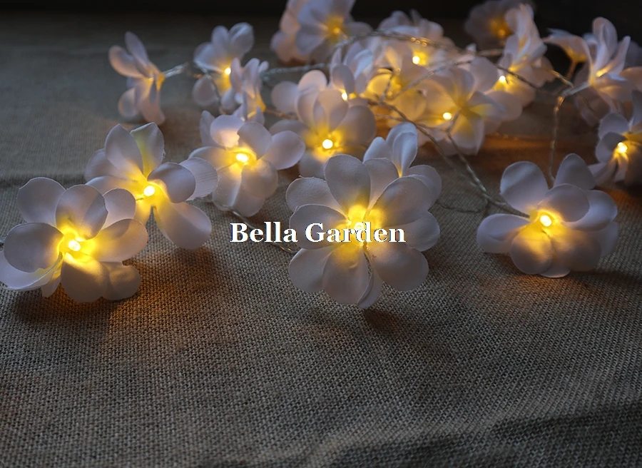 Handmade 3M 20LED frangipani String Lights USB Powered floral fairy lights,Event Party garland decorations,Bedroom Home decor Handmade 3M 20LED frangipani String Lights USB Powered floral fairy lights,Event Party garland decorations,Bedroom Home decor