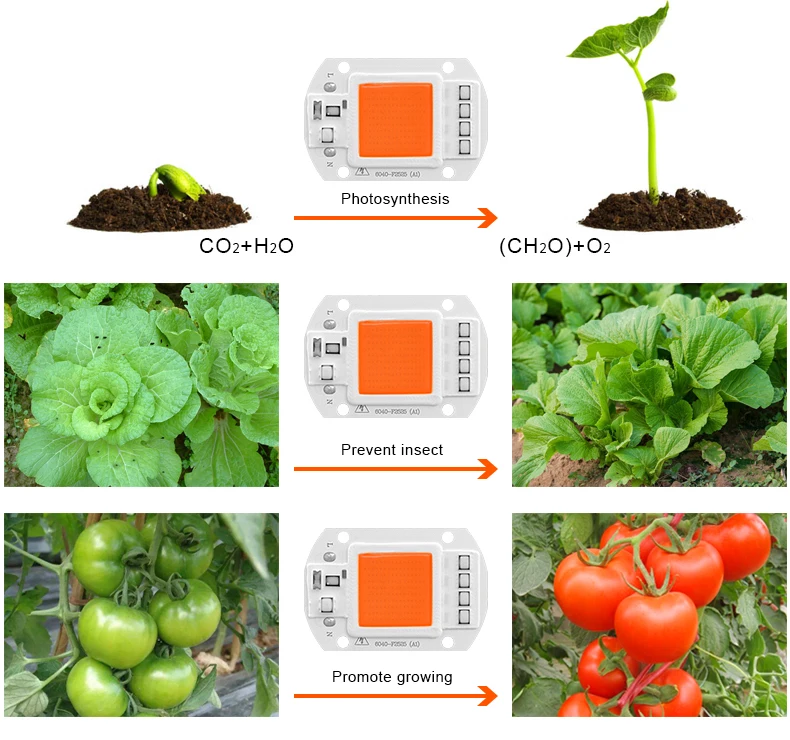 220V полный спектр COB светодиодный grow светильник LED чип 20 Вт 30 Вт 50 Вт Светодиодный светильник 380-840nm DIY светать светильник Потолочные Светильник комнатное растение растет с цветочным рисунком