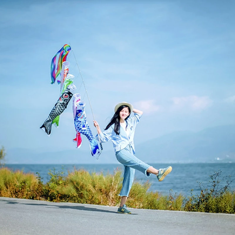 

70cm Koi Nobori Carp Wind Socks Koinobori Colorful Fish Flag Hanging Wall Decor-M15