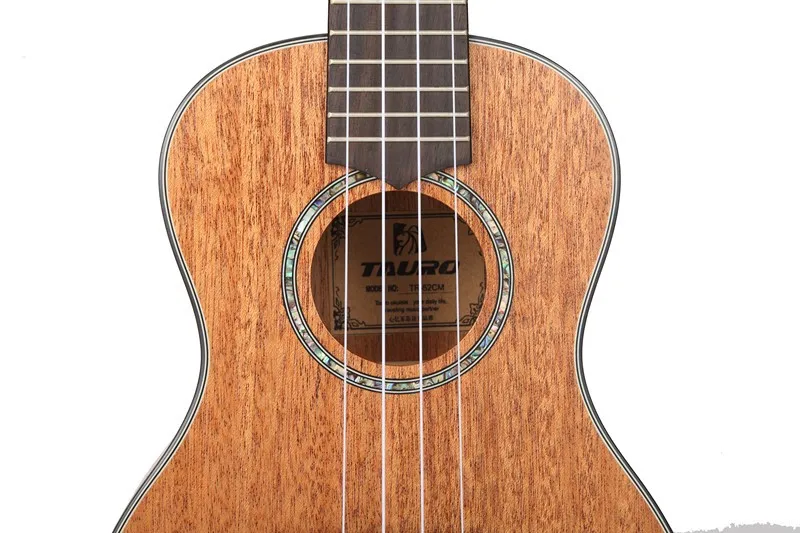ukulele 23