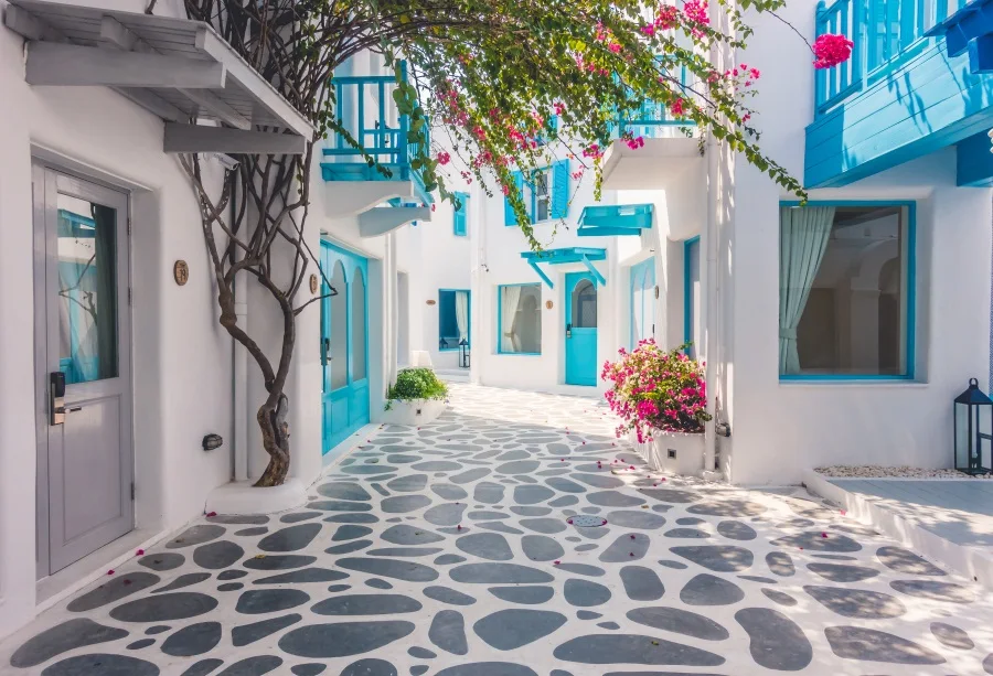 

Laeacco Town Houses Roadways Flowers Shop Scenic Photography Background Customized Photographic Backdrops For Photo Studio