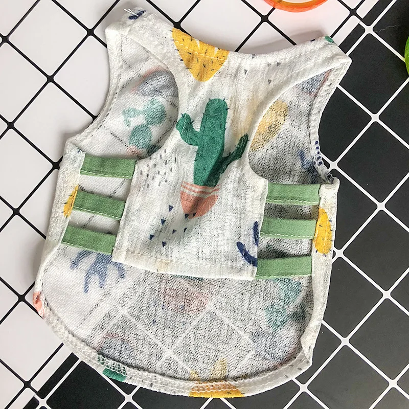 9027613511_1853267267