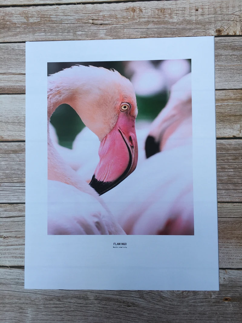 微信图片_20190402164726