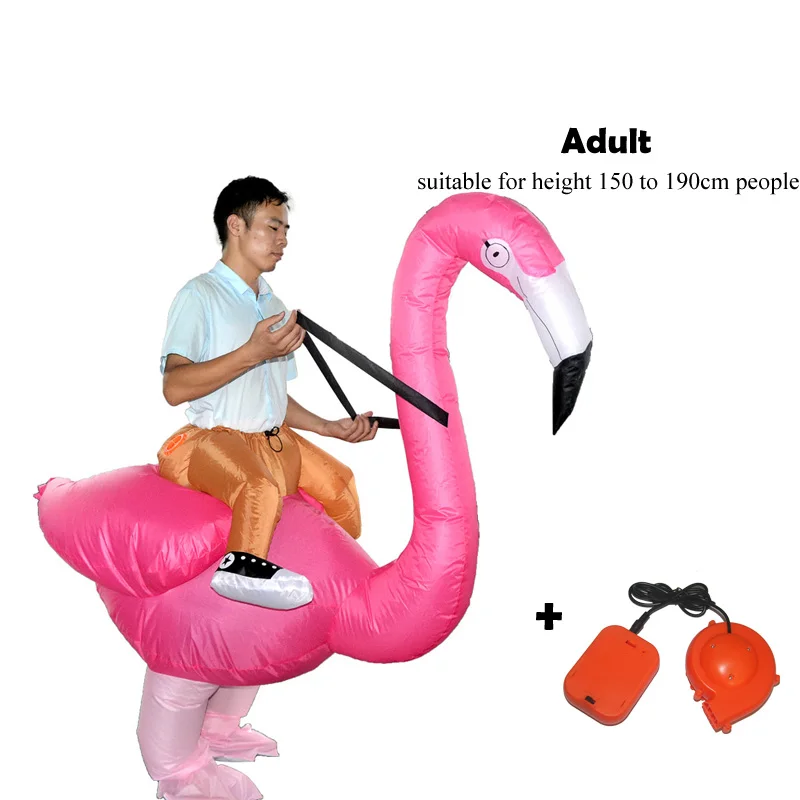 adult bird
