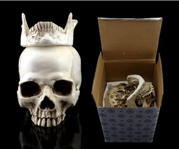 Human Skull Replica Resin Model Medical Realistic ...