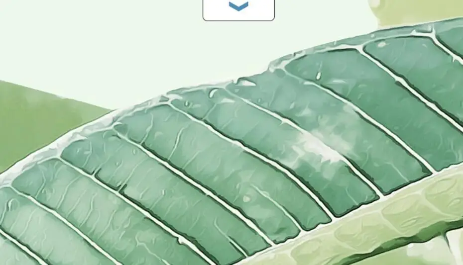 QQ20190506122606