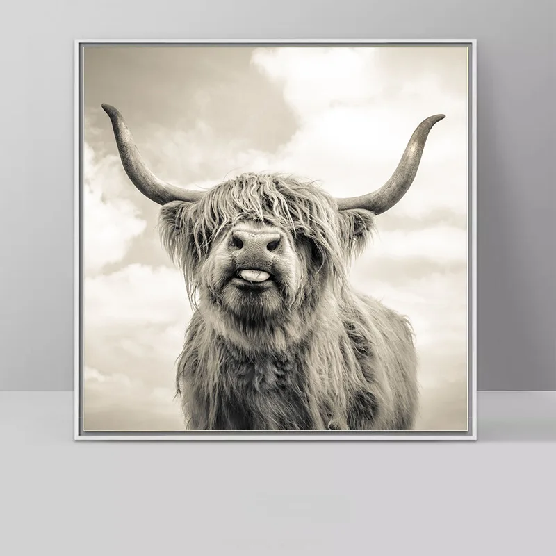 

Modern Canvas Painting Black and White Highland Cattle Posters Prints Nordic Wall Art Cow Pictures for Living Room Home Decor