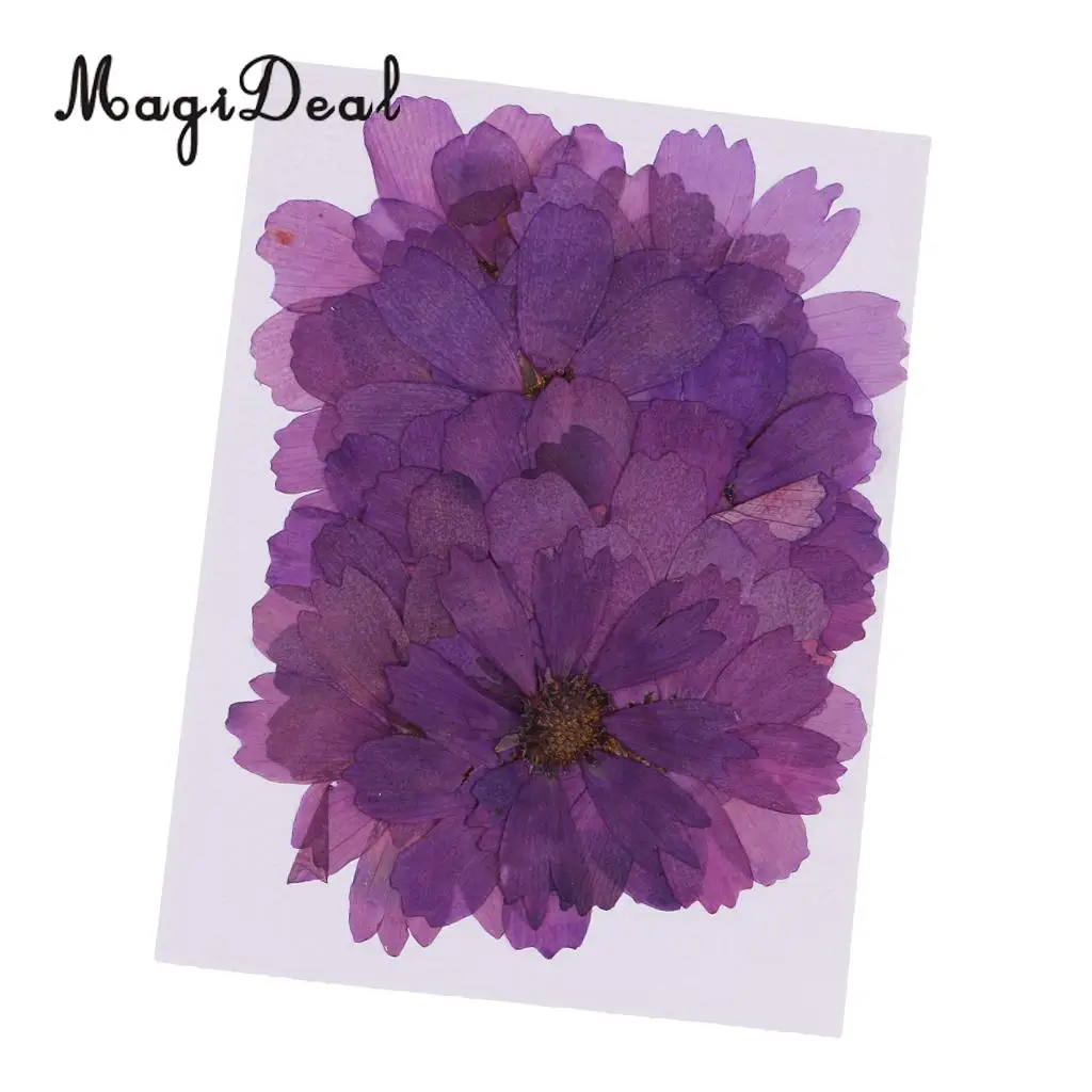 20pcs Pressed Real Dried Flower Purple Coreopsis Jewelry Making Accessories for Candle Making DIY Craft Resin Casting Ornament
