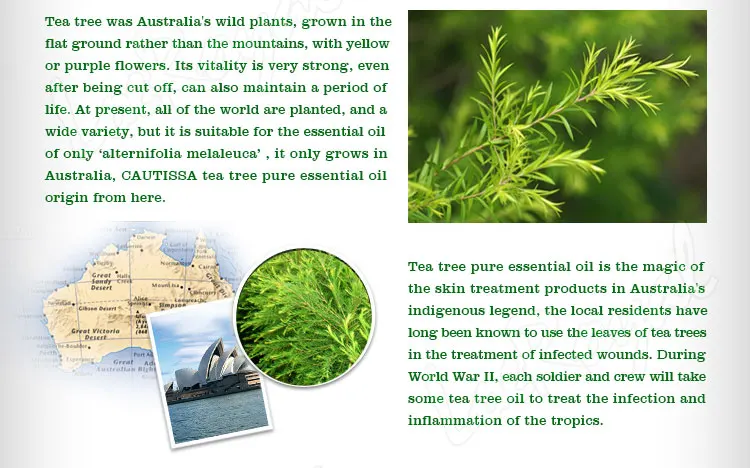 tea-tree-essential-oil_03