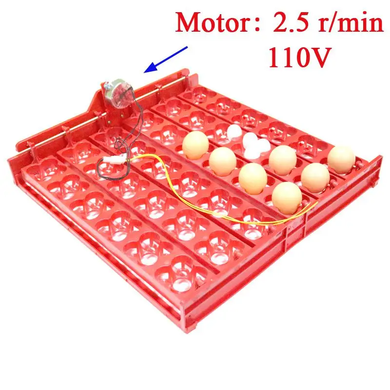 110V
