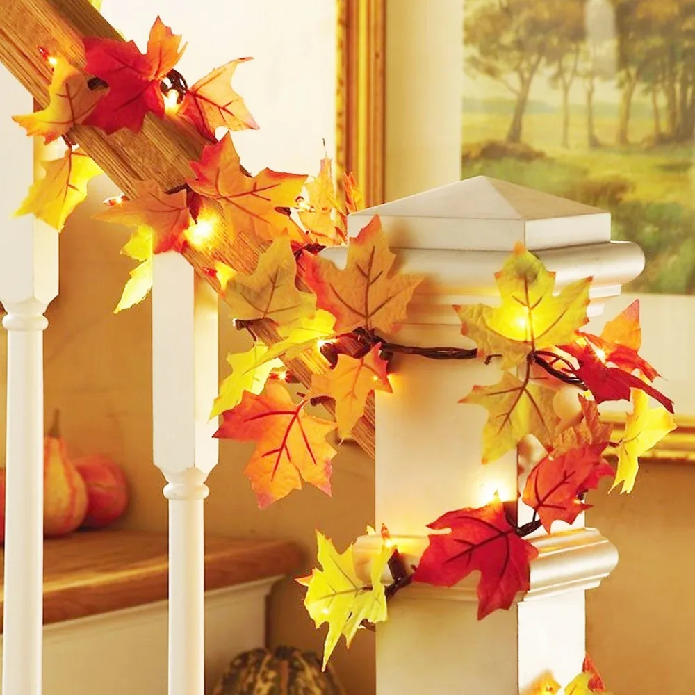 Harvest thanksgiving reflections