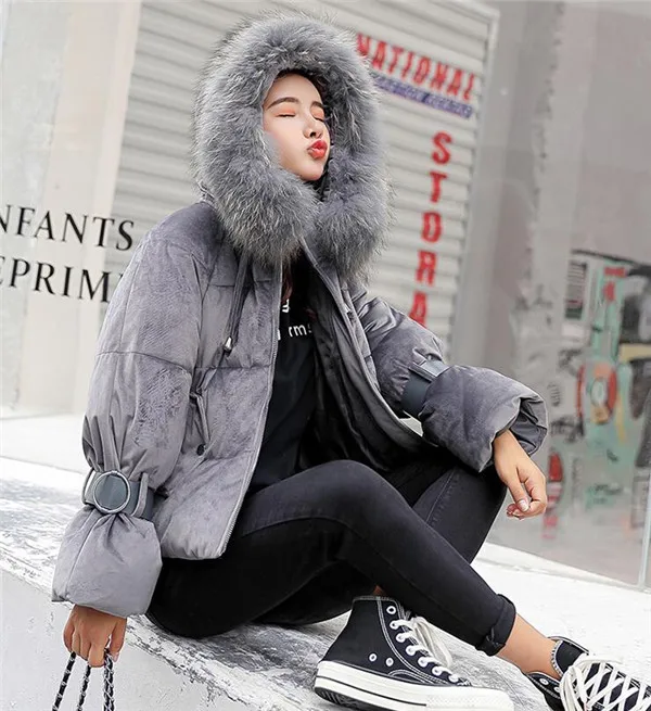 QQ20181122114933