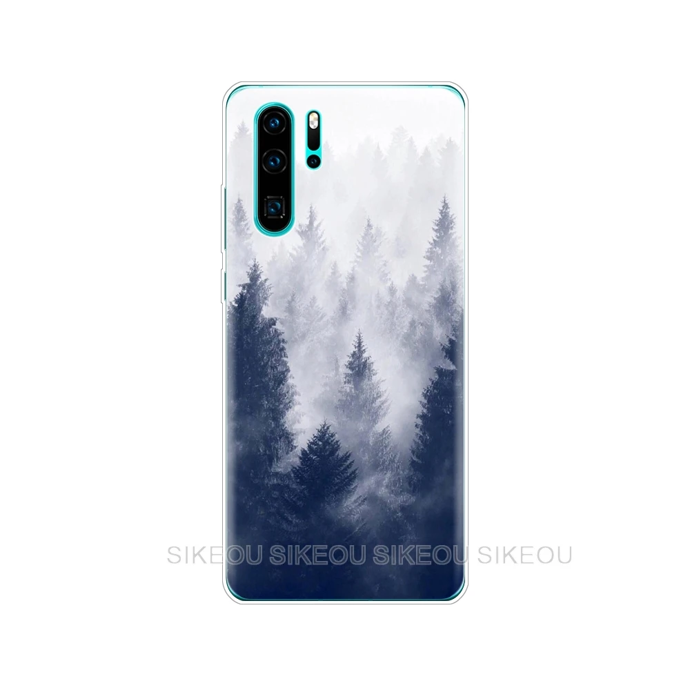 Чехол s для huawei P30 Pro Чехол huawei P30Pro силиконовый чехол ТПУ задняя крышка для телефона на huawei P30 Pro VOG-L29 ELE-L29 P 30 Lite чехол - Цвет: 33667