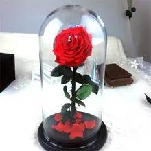Zipi Чехол для очков, сохраненный свежий цветок, свадебное украшение, подарок на день рождения, Рождество, День Святого Валентина, украшение для дома, отеля