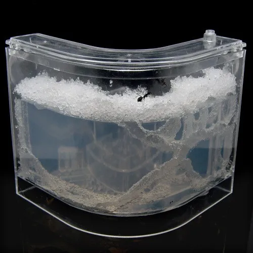 ant-house (7)