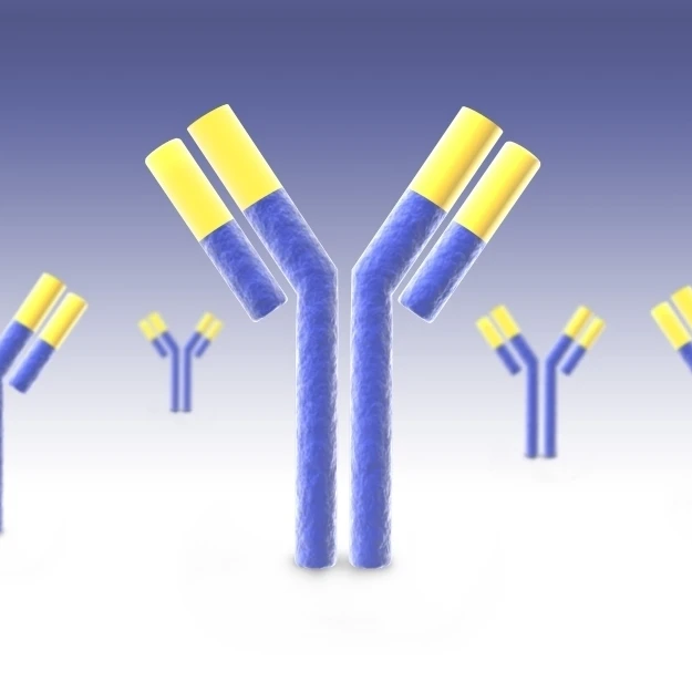 Conceptual image of an antibody Poster Print (36 x 22)