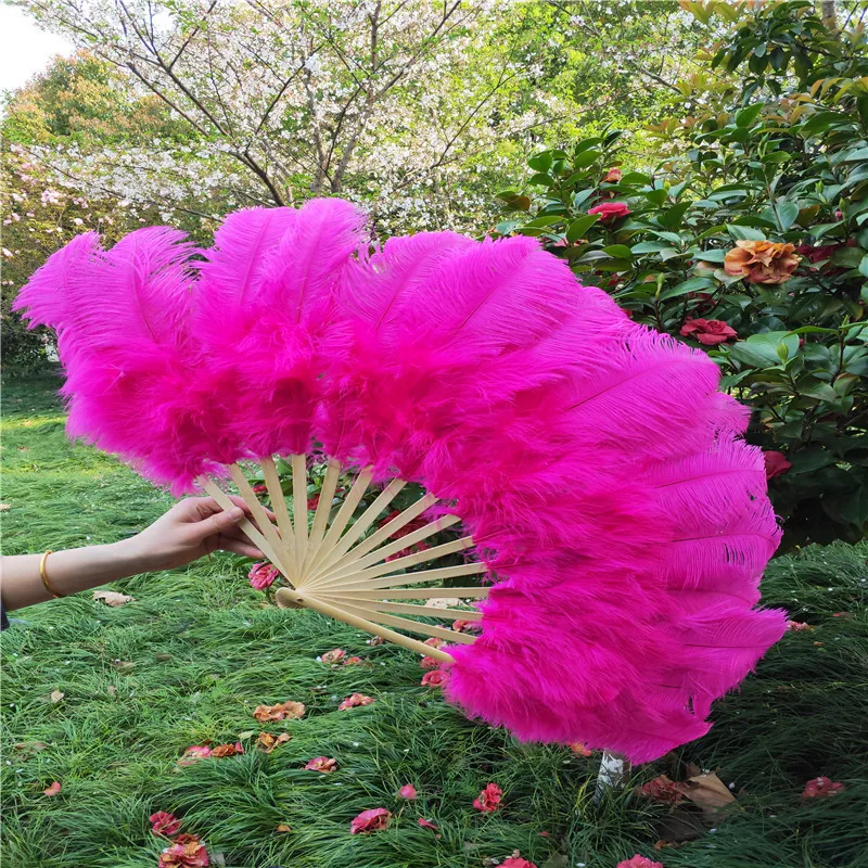 Pink Purple Ostrich Feathers Fan 13Bone Plumages Fans Foldable Stage Show  Performance Dance props Crafts Fan with feather - AliExpress