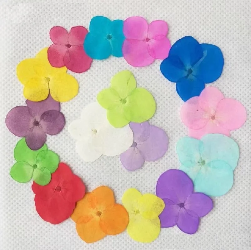 250pcs Pressed Dried Hydrangea Flower For Epoxy Resin ...