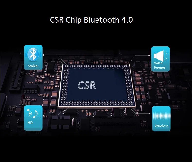 Chip