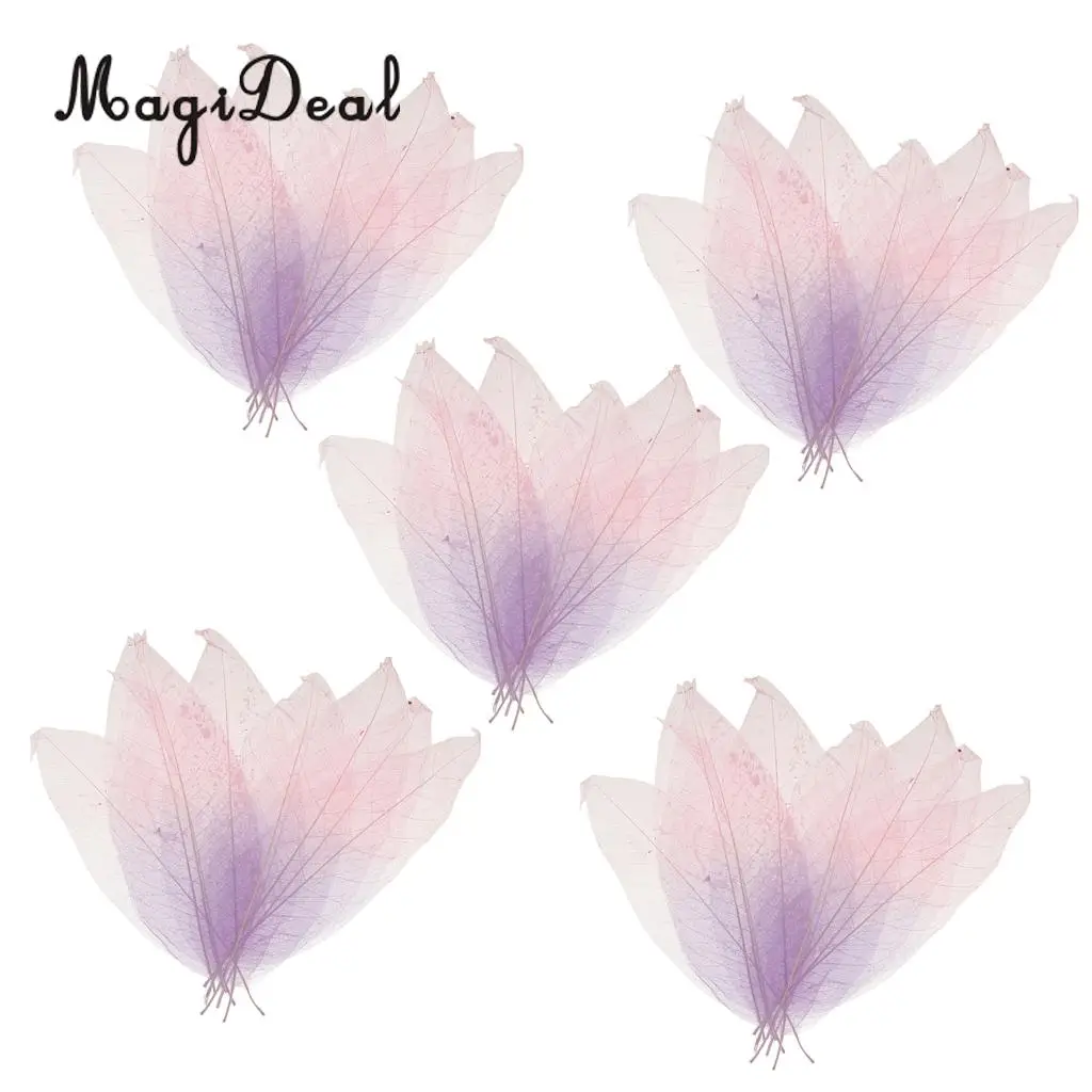 MagiDeal Beautiful 50Pcs Natural Magnolia Skeleton Leaf Leaves DIY Crafts for Scrapbooking Flower Making Lampshades Wall Decor