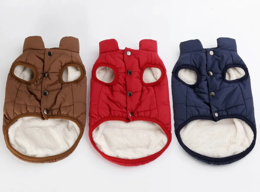 3613109663_1954311762