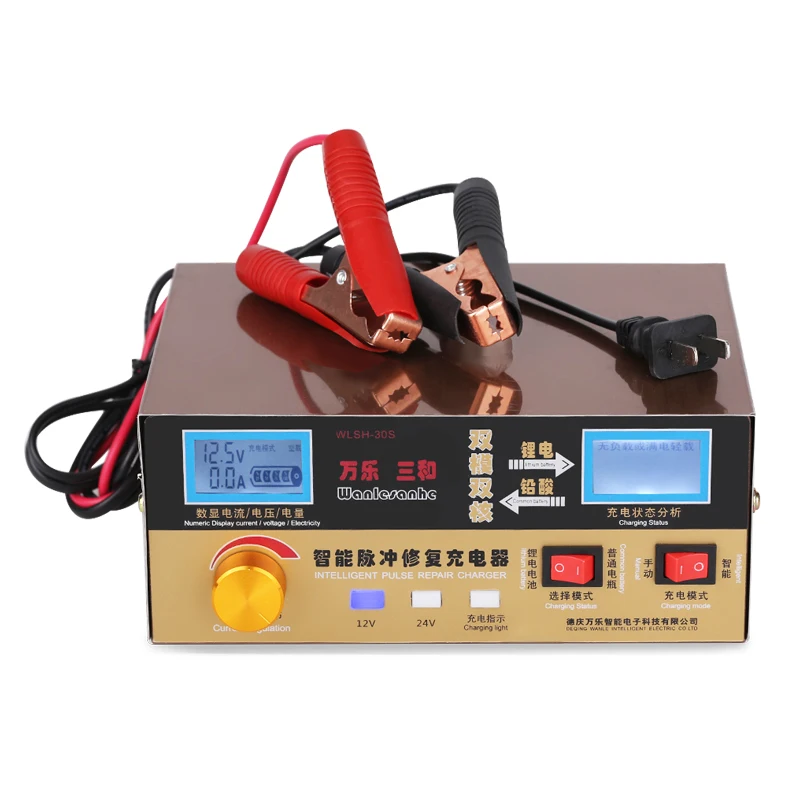 Lead Acid / lithium Automatic Battery Charger 110V 220V To 12V 24V
