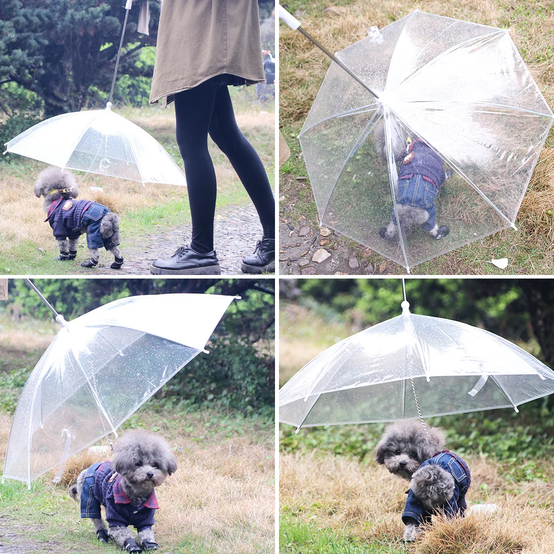 

Useful Transparent Pet Cat Umbrella Small Dog Umbrella Rain Gear with Dog Leads Keeps Pet Dry Comfortable in Rain Snowing