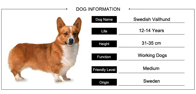 1188