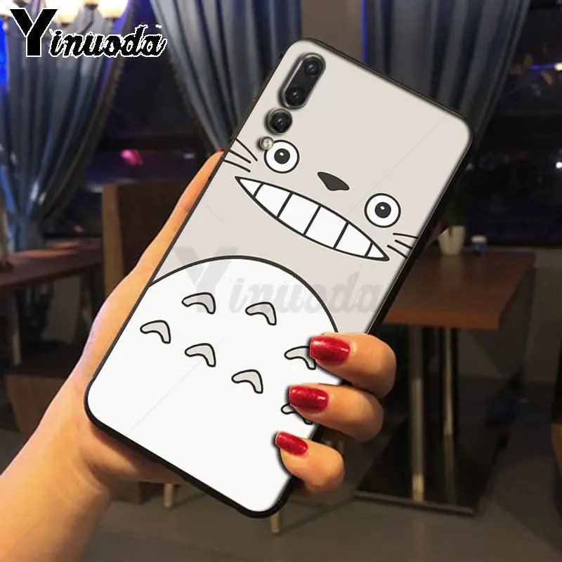 Carton Studio Ghibli Spirited Away Totoro