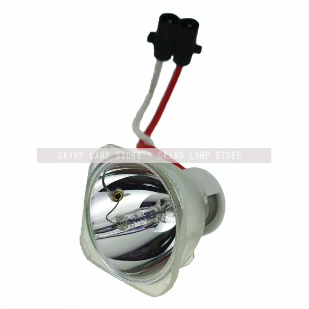SP-LAMP-019-1