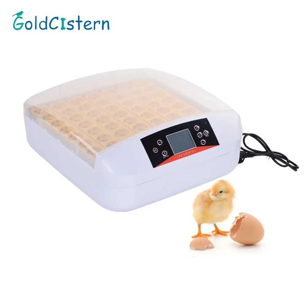 

56Pcs Egg Incubator 80W Digital Temperature Hatchery Machine Hatcher for Hatching Chickens Ducks Geese 110V/ 220V EU/US