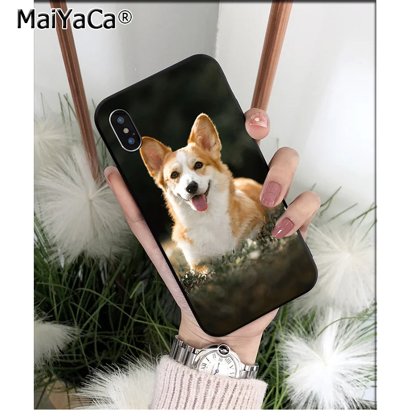 Anime Corgi dog