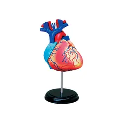 4D Heart Intelligence сборная игрушка Анатомия человеческого органа манекен для медицинского обучения DIY популярная научная техника
