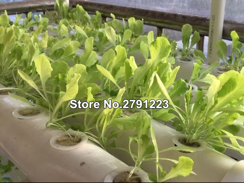 Балкон/сад 72 места Набор для выращивания растений без почвы гидропонная система Крытый сад для овощей, огородная