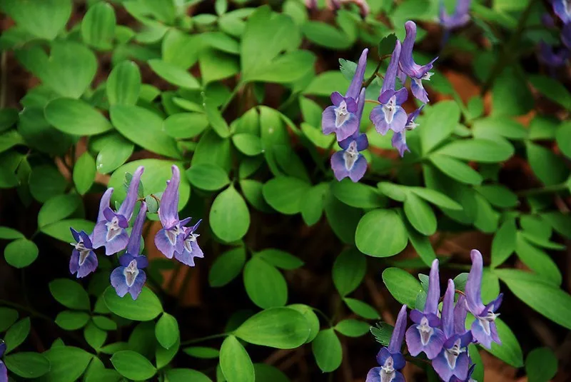 HTB18TA8JXXXXXaWXXXXq6xXFXXX7
