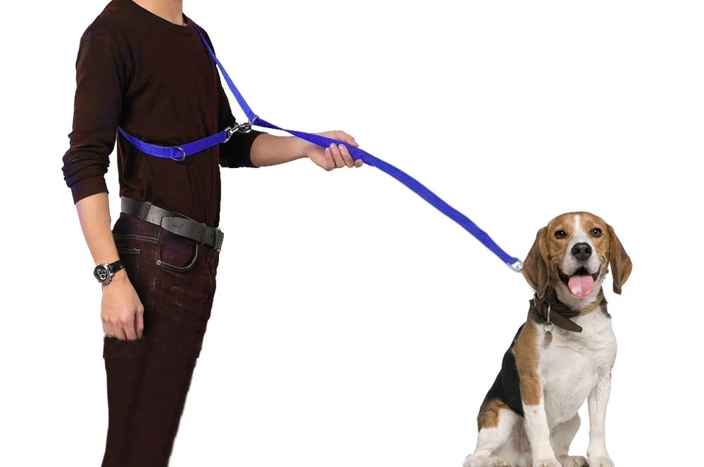 3 цвета Европейский Многофункциональный Собака Нейлон Tranning поводок регулируемый длинный короткий двойной привести поводки для Товары для собак Hands Free