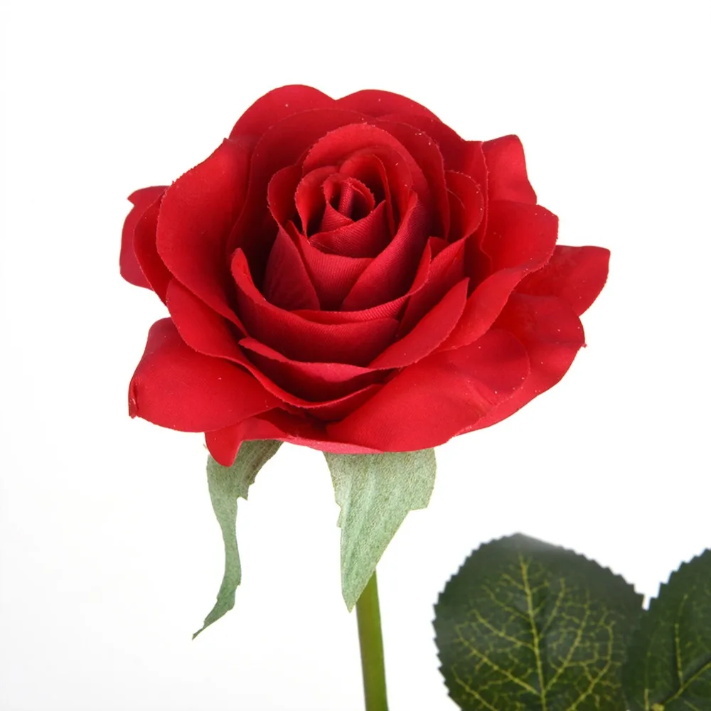 JY05239-01-19