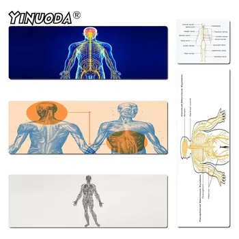 

Yinuoda Non Slip PC Nervous System Unique Desktop Pad Game Mousepad Size 300x600mm and 400x900mm