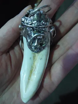 

Rare old silver inlay bear tooth collection free shipping