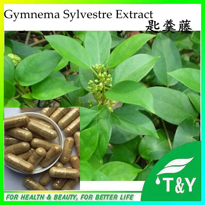 Горячие Продажи оптом натуральный продукт здоровья экстракта gymnema sylvestre капсулы