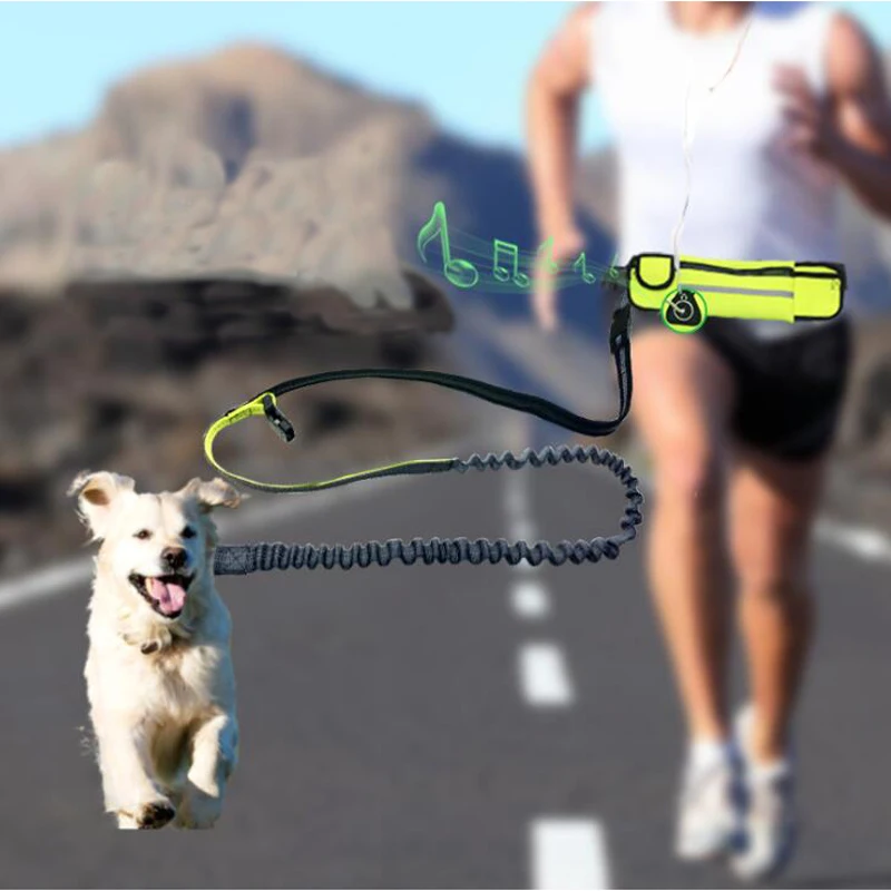 

Hand Free Elastic Waist Dog Leash Running Jogging Dog Sport Product Adjustable Nylon Reflective Dog Leash With Waist Bags