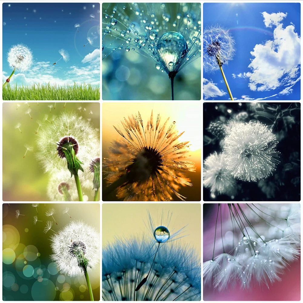 Full Diamond Painting 5D DIY Embroidery Square Drill Dandelion Home Decor Arts Crafts&ampSewing Needlework Cross Stitch Crpsen | Дом и сад