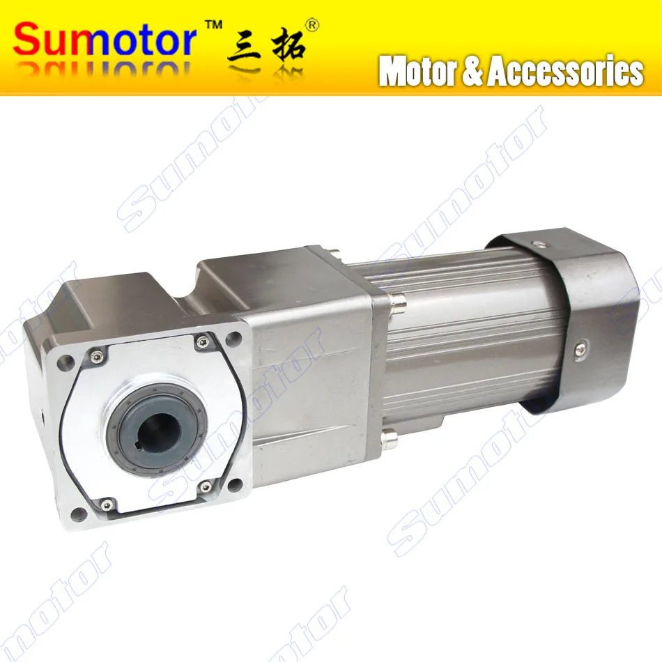 200W AC 220 240V 50/60HZ low speed Right angle 90 degrees Electric