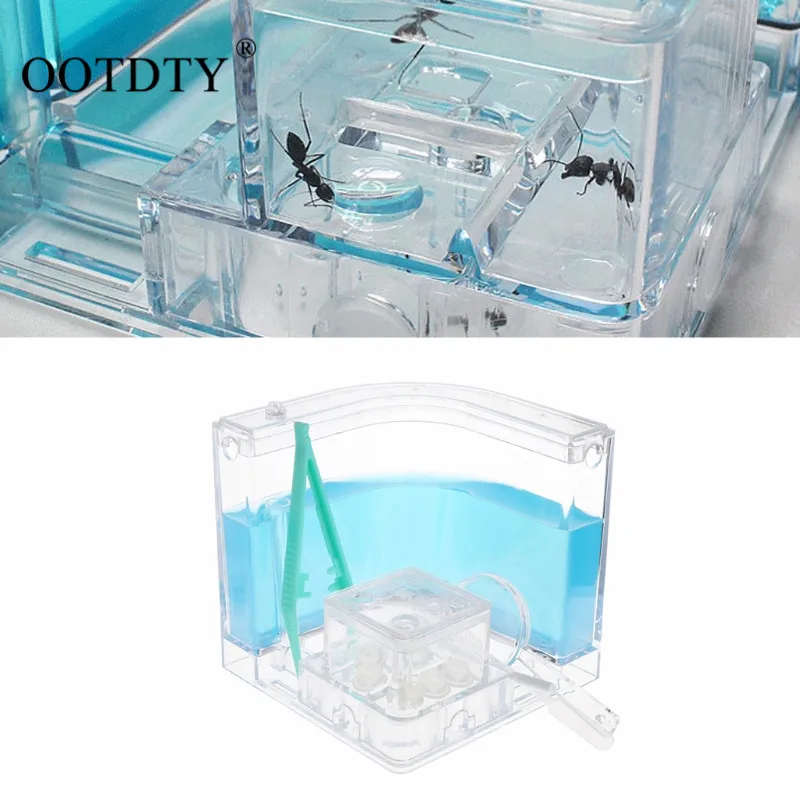 

OOTDTY Natural Ant Farm Box Formicarium Ants Workshop Home Ecological Ant Insect Ecology Pet Toys with Nipper and Straw