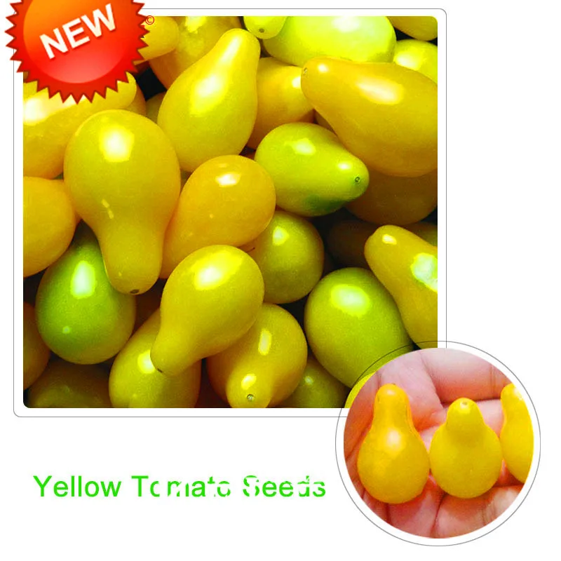 

Big Sale!Beautiful Yellow Pear Tomato bonsai,Potted Organic Vegetable Fruit Tomato plant for Home Garden 100 pcs/lot,#I9YOHX