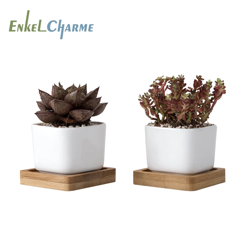 

2Pieces Geometic White Ceramic Square Bonsai Planter Little Succulent Flower Pots Modern Small Cactus Flowerpot Bamboo Tray