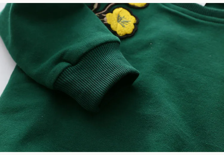 2018 Spring Autumn 2-10 Years Old Children'S Birthday Gift Long Sleeve Green Embroidery Flower Coat Baby Kids Sweatshirt Girl (14)