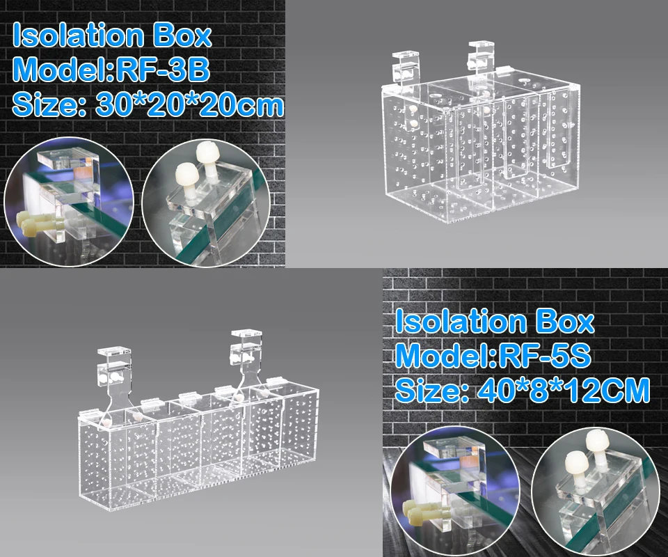 description 3B 5S