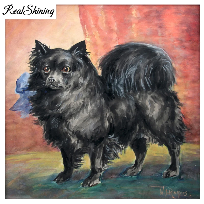 Pomeranian Dog 999